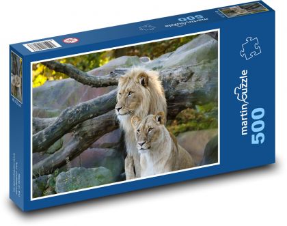 Velké kočky - lev, lvice - Puzzle 500 dílků, rozměr 46x30 cm