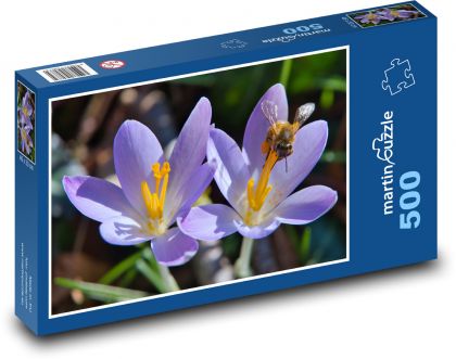 Krokusy - květ, včela - Puzzle 500 dílků, rozměr 46x30 cm