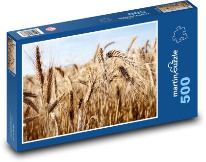 Obilí - pole, sklizeň - puzzle 500 dílků