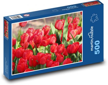 Červené tulipány - kvety, záhrada - Puzzle 500 dielikov, rozmer 46x30 cm 