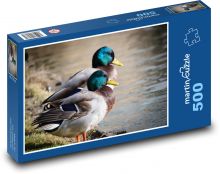 Kachny - kachny divoké, ptáci Puzzle 500 dílků - 46 x 30 cm