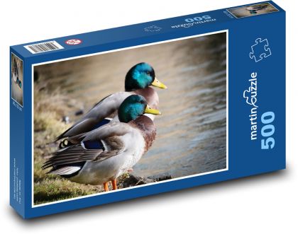 Kachny - kachny divoké, ptáci - puzzle 500 dílků