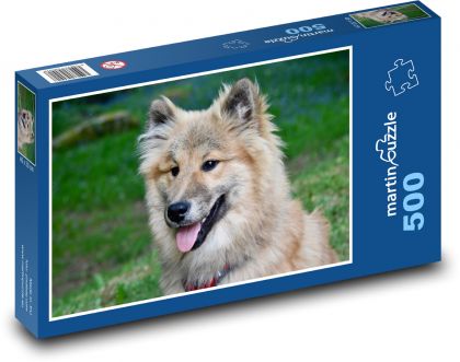 Eurasier - dog, animal - Puzzle of 500 pieces, size 46x30 cm 