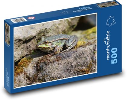 Frog - amphibian, animal - Puzzle of 500 pieces, size 46x30 cm 