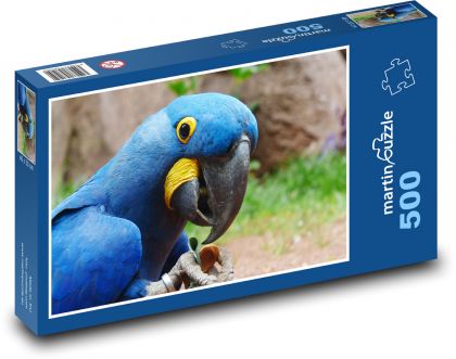 Modrý papoušek - pták, zvíře - Puzzle 500 dílků, rozměr 46x30 cm