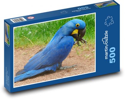 Blue parrot - bird, animal - Puzzle of 500 pieces, size 46x30 cm 