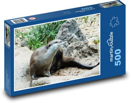 Wydra - drapieżnik, zwierzę - Puzzle 500 elementów, rozmiar 46x30 cm