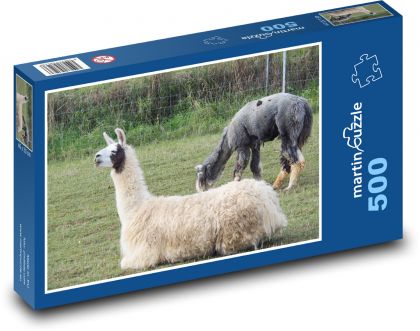 Lama - zvíře, pastvina - puzzle 500 dílků