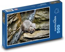 Vydra - zvíře, dravec Puzzle 500 dílků - 46 x 30 cm