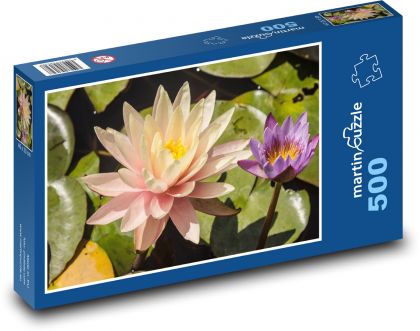 Water lily - flower, pond - Puzzle of 500 pieces, size 46x30 cm 