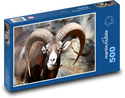 Goat - animal, horns - Puzzle of 500 pieces, size 46x30 cm 