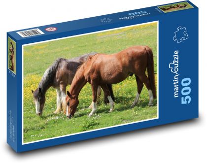 Kůň - pastvina, zvíře - puzzle 500 dílků