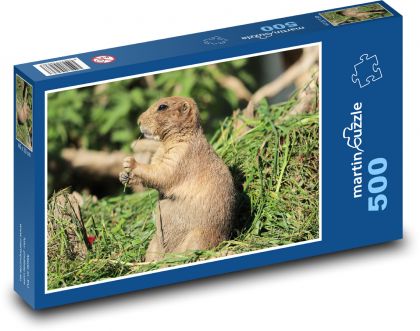 Prérijný pes - zviera, hlodavec - Puzzle 500 dielikov, rozmer 46x30 cm 