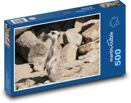 Surikata - zvíře, savec - puzzle 500 dílků