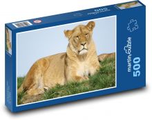 Lev - lvice, lvíčata Puzzle 500 dílků - 46 x 30 cm