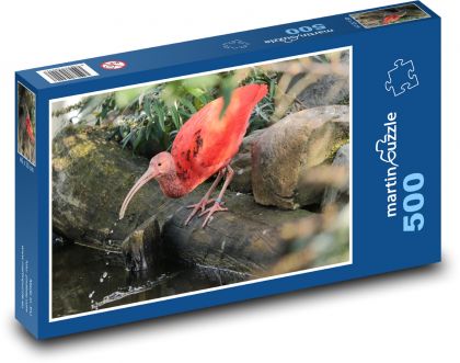 Červený ibis - pták, zvíře - Puzzle 500 dílků, rozměr 46x30 cm