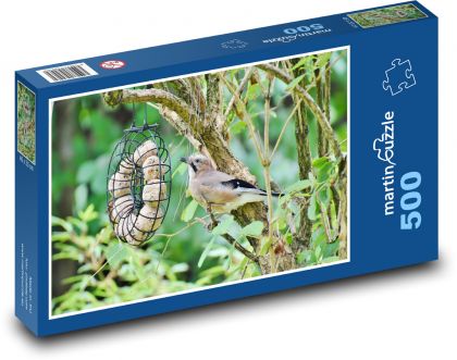 Sojka - pták, zvíře - puzzle 500 dílků
