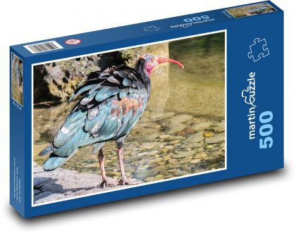 Ibis - pták, peří - puzzle 500 dílků