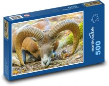 Muflon - zwierzę, rogi Puzzle 500 elementów - 46x30 cm