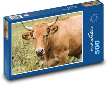 Kráva - rohy, zvíře - Puzzle 500 dílků, rozměr 46x30 cm