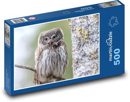 Sova na větvi - pták, zvíře - puzzle 500 dílků