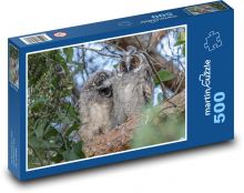 Kalous ušatý - dravý pták, sova Puzzle 500 dílků - 46 x 30 cm