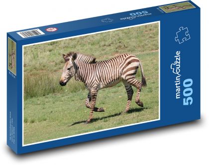 Zebra - zvíře, zoo - Puzzle 500 dílků, rozměr 46x30 cm