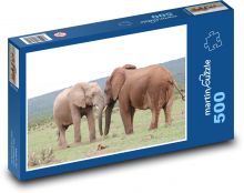 Sloni - Afrika, Safari Puzzle 500 - 46x30 cm