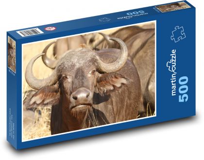 Buvol - Jihoafrická republika, zvíře - Puzzle 500 dílků, rozměr 46x30 cm