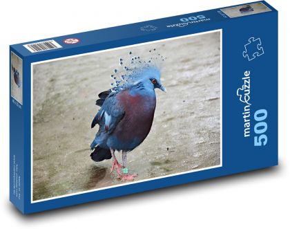 Bird - fan pigeon, animal - Puzzle of 500 pieces, size 46x30 cm 