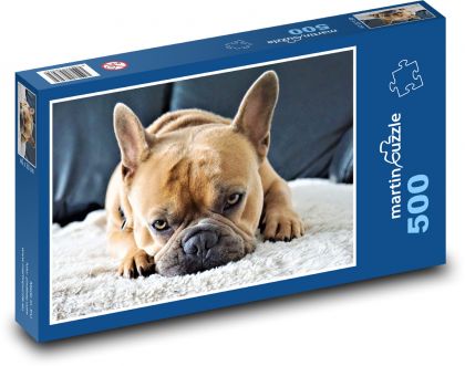 Francúzsky buldog - pes, domáce zviera - Puzzle 500 dielikov, rozmer 46x30 cm 