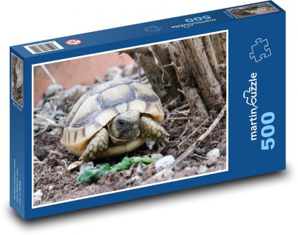 Żółw - gad, zwierzę - Puzzle 500 elementów, rozmiar 46x30 cm