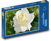 Biała róża - kwiat, ogród Puzzle 500 elementów - 46x30 cm