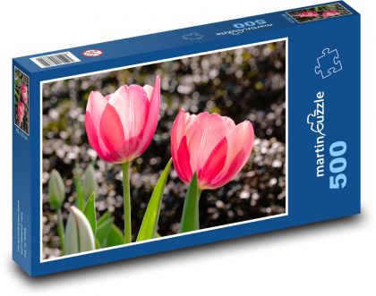 Red tulip - flower, flower - Puzzle of 500 pieces, size 46x30 cm 