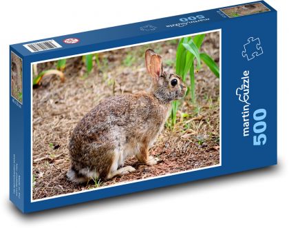 Divoký králík - králíček, zvíře - Puzzle 500 dílků, rozměr 46x30 cm