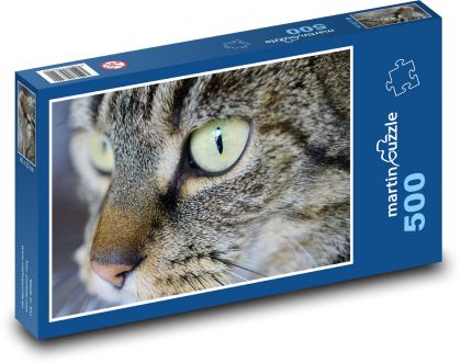 Brytyjski krótkowłosy kot - zwierzę domowe, żmija - Puzzle 500 elementów, rozmiar 46x30 cm