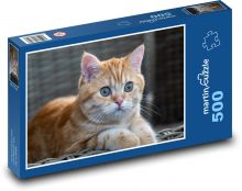 Cat - meal, animal Puzzle of 500 pieces - 46 x 30 cm 