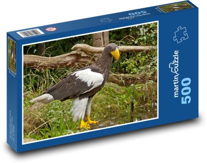 Orel - dravec, dravý pták - Puzzle 500 dílků, rozměr 46x30 cm