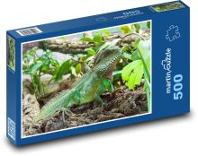 Leguan - Eidechse, Reptil Puzzle 500 Teile - 46 x 30 cm