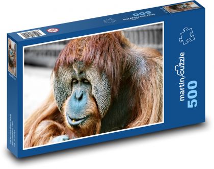 Monkey - orangutan, animal - Puzzle of 500 pieces, size 46x30 cm 