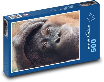 Orangutan - primát, zvíře - Puzzle 500 dílků, rozměr 46x30 cm