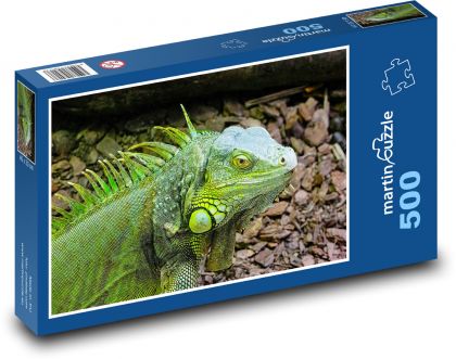 Leguán zelený - plaz, zvíře - Puzzle 500 dílků, rozměr 46x30 cm