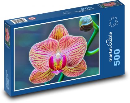 Orchidej - květina, květ - Puzzle 500 dílků, rozměr 46x30 cm
