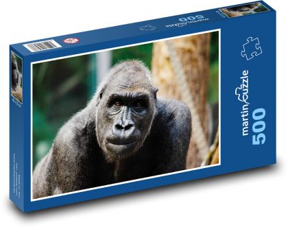 Gorilla - monkey, primate - Puzzle of 500 pieces, size 46x30 cm 