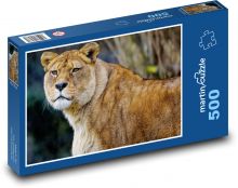 Lvice - lev, dravec Puzzle 500 - 46x30 cm