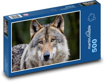Grauer Wolf - Tier, Raubtier - Puzzle - 500 Teile