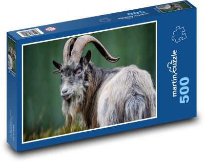 Koza - ssak, przeżuwacz - Puzzle 500 elementów, rozmiar 46x30 cm