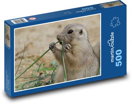 Psoun - hlodavec, zvíře - Puzzle 500 dílků, rozměr 46x30 cm