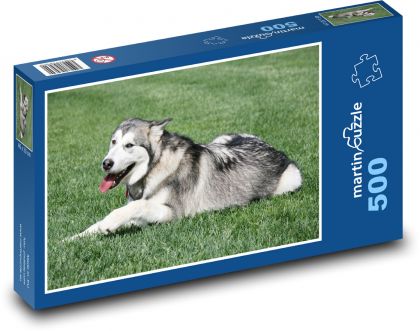 Alaskan malamute - animal, dog - Puzzle of 500 pieces, size 46x30 cm 