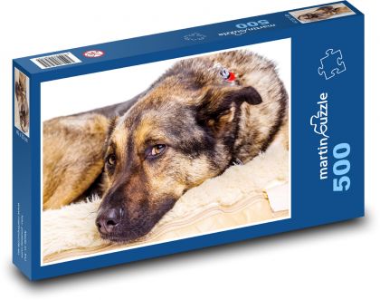 Německý ovčák - pes, zvíře - Puzzle 500 dílků, rozměr 46x30 cm